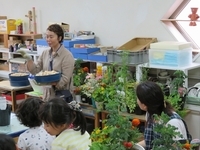 ハーブと花の寄せ植え作り