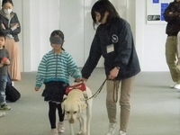 盲導犬訓練士