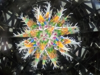 s-万華鏡