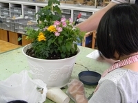 ハーブと花の寄せ植え作り
