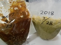 発酵料理